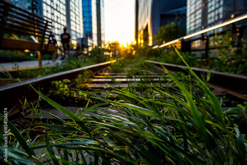 Golden light on brick buildings. Sunset illuminates classic brick facades above quiet city street