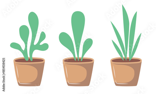 Plant in the pot. Vector flat illustration isolated on white background.