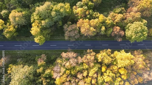 Vehicle moving through colorful fall forest scenery