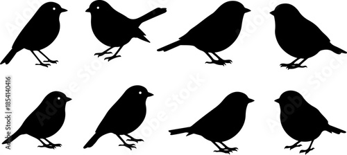 Black Bird Silhouette Set Vector Illustration