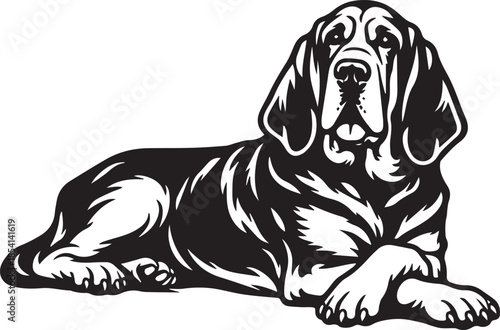 lovely bloodhound dog