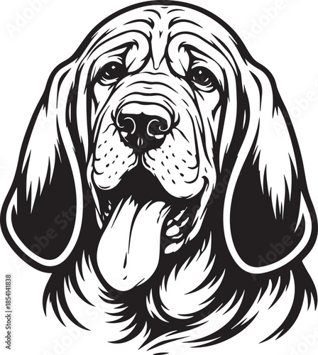 portrait of a bloodhound dog