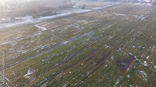 Top view of fresh cereal crop under frost