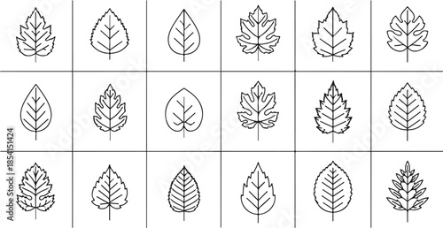 Collection of diverse leaf illustrations