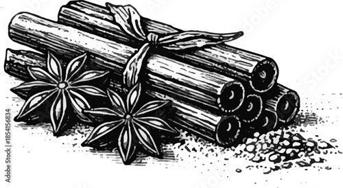 Vintage Cinnamon Sticks and Star Anise Illustration