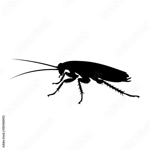 Silhouette of a cockroach