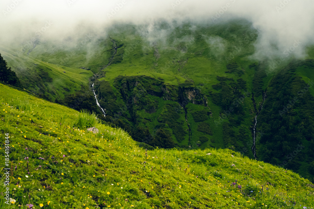 Obraz premium Hillside with many flowers on green lawn at Bhrigu Lake Trek, Manali, India. There are many waterfalls with morning mist in the mountains. Idea for a natural background with copy space.