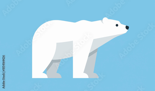 polar bear vector illustration