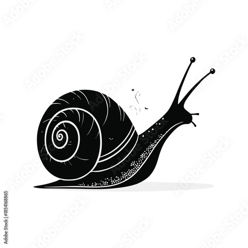 Stunning black snail illustration with white details on clean white background