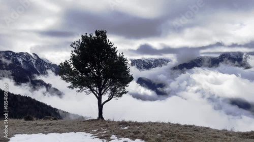 Solitary Tree on a Mountain Ridge with Dramatic Clouds and Fog Inversion Below, Cinematic Alpine Landscape in Winter, Mystic Nature Atmosphere and Wilderness