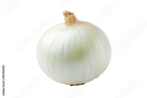 Single white onion isolated on transparent background. Single whole white onion bulb isolated on white background.