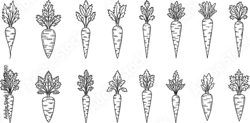 Minimalist thin line carrot vector icon set with various root vegetable shapes and leafy greens for organic food branding