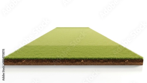 A detailed 3D rendering of a cricket pitch with an underground view | Cricket, pitch, wicket, field, sports, game.