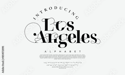 Elegant Font Uppercase Lowercase Number And Ampersand. Classic Lettering Minimal Fashion Designs. Typography modern serif fonts regular decorative vintage concept. vector illustration