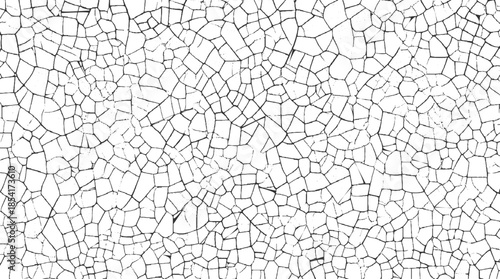 Black cracked pattern on white background abstract texture