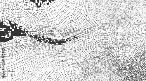 Black and white abstract pattern of cracked lines and irregular shapes texture