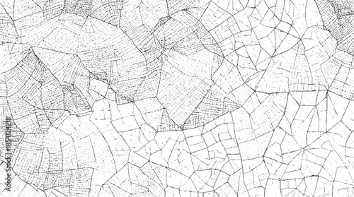 Black and white abstract pattern of cracked lines and dots resembling a dry leaf vein structure