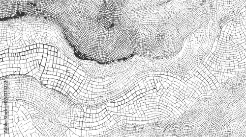 Black and white abstract pattern of cracked earth or mosaic tiles texture