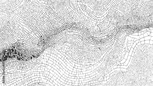 Black and white abstract cracked pattern with irregular polygonal shapes texture