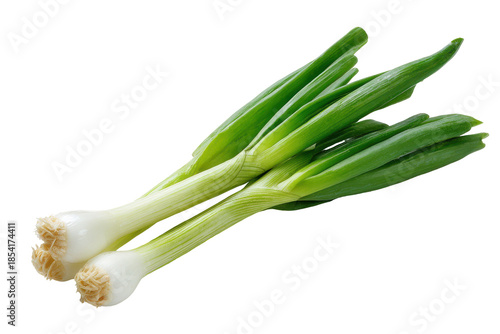 Fresh green onions isolated on transparent background. Fresh spring onions isolated on white background.
