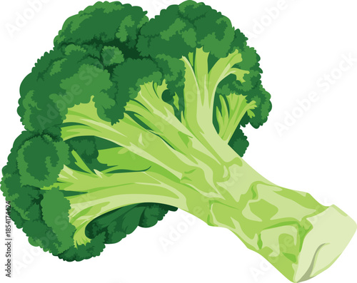 A vibrant green broccoli floret against a clean white background with a flat design style.