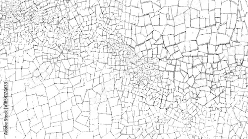 Black and white cracked surface texture with irregular polygonal shapes abstract background