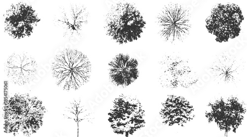 Collection of fifteen black and white view tree with varied foliage and branch structures