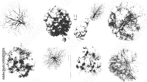 Eight black and white down tree silhouettes with varied textures and branch patterns view