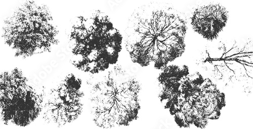 Collection of black ink down tree on white background view overhead aerial