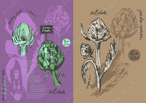 Hand drawn ink artichoke vegetable sketches set. Food drawings for labels and packaging.