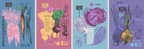 Hand drawn ink onion, carrot, red cabbage vegetable background set.
