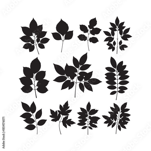 Leafy Branches Silhouettes Collection