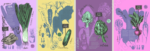 Hand drawn ink leek, cucumber, artichoke, radish vegetable background set. Food drawings for labels and packaging. Vegetarian menu. Healthy diet.