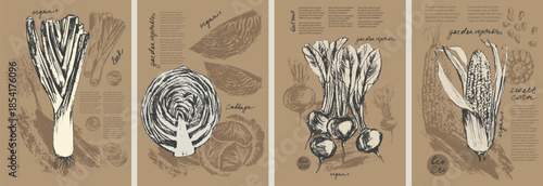 Hand drawn ink leek, cabbage, beet, corn vegetable background set. Food drawings for labels and packaging. Vegetarian menu. Healthy diet.