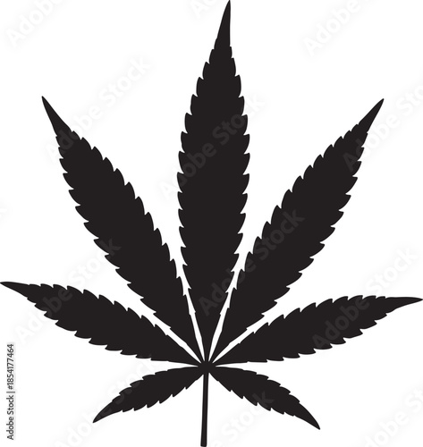 Black silhouette of a leaf with serrated edges and distinct lobes representing and its associated culture and symbolism also transparent background