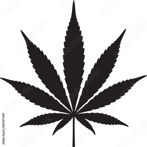 Stylized black silhouette of a leaf with seven distinct pointed lobes, representing hemp, and the plant also transparent background