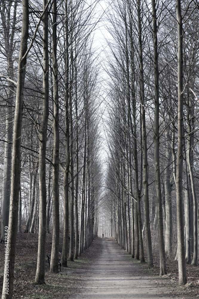 Fototapeta premium Hørsholm in denmark