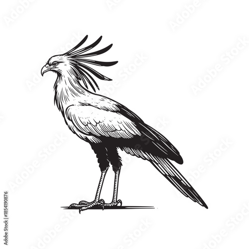 Majestic bird with elaborate crest standing proudly