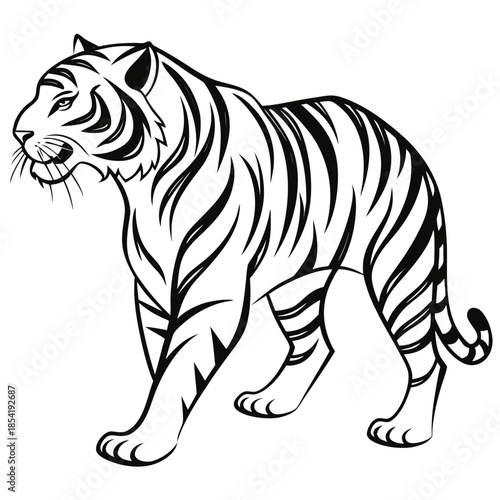 Placeholder image display