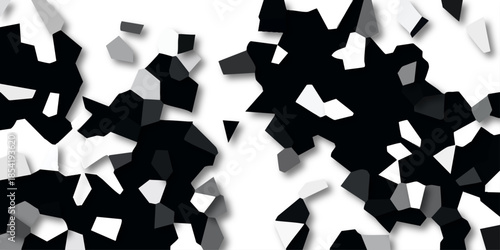 Shattered Geometric Abstract Design Black White and Gray Fragments with Soft Shadows on White Background