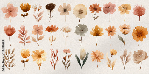  a collection of beautifully illustrated flowers in soft pastel colors