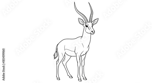 Gazelle Antelope Wildlife Illustration and African Safari Animal Icon