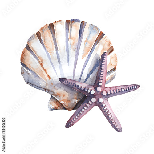 Watercolor purple starfish and seashell on black background marine ocean
