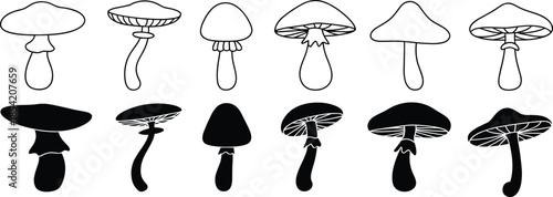 mushroom illustrations in outline and silhouette styles for botanical studies, nature design, and fungal morphology comparison