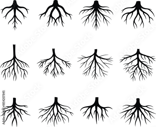 Tree root silhouettes collection showing underground plant root systems, branching roots, and botanical structures in black flat icon style isolated on white background