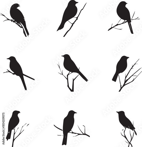 Nature bird silhouette icon set perched branch black vector on white background