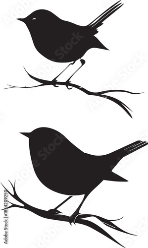 Nature bird silhouette icon set perched branch black vector on white background