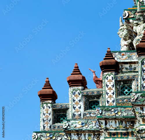 ave rojiza en la escalinata