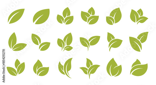 AdobeCollection of green leaves on white background Illustrator Artwork