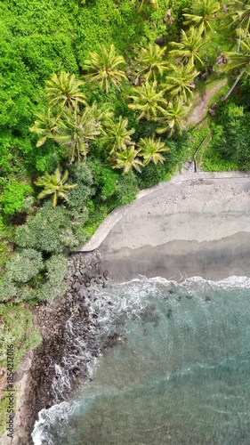 Lombok island area in Indonesia. Surrounded by jungle and palm trees. Aerial videos.